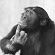 World of Zoology