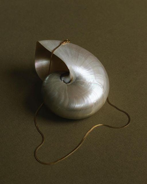 A Pinterest pin added by byjstudios on Dec 28, 2023. The author is Jessie Lamaletie. May present: wood, lamp, nautilida.