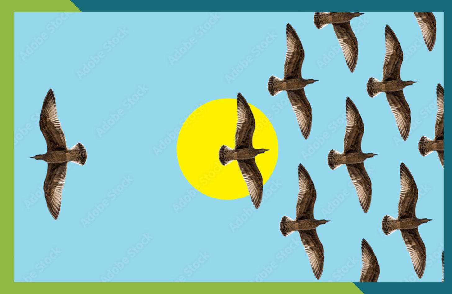 A graphic of a flock of birds flying toward the right while one bird flies toward the left with a pale blue background and a blue-green border to illustrate the concept of interruption dialogue for writers.