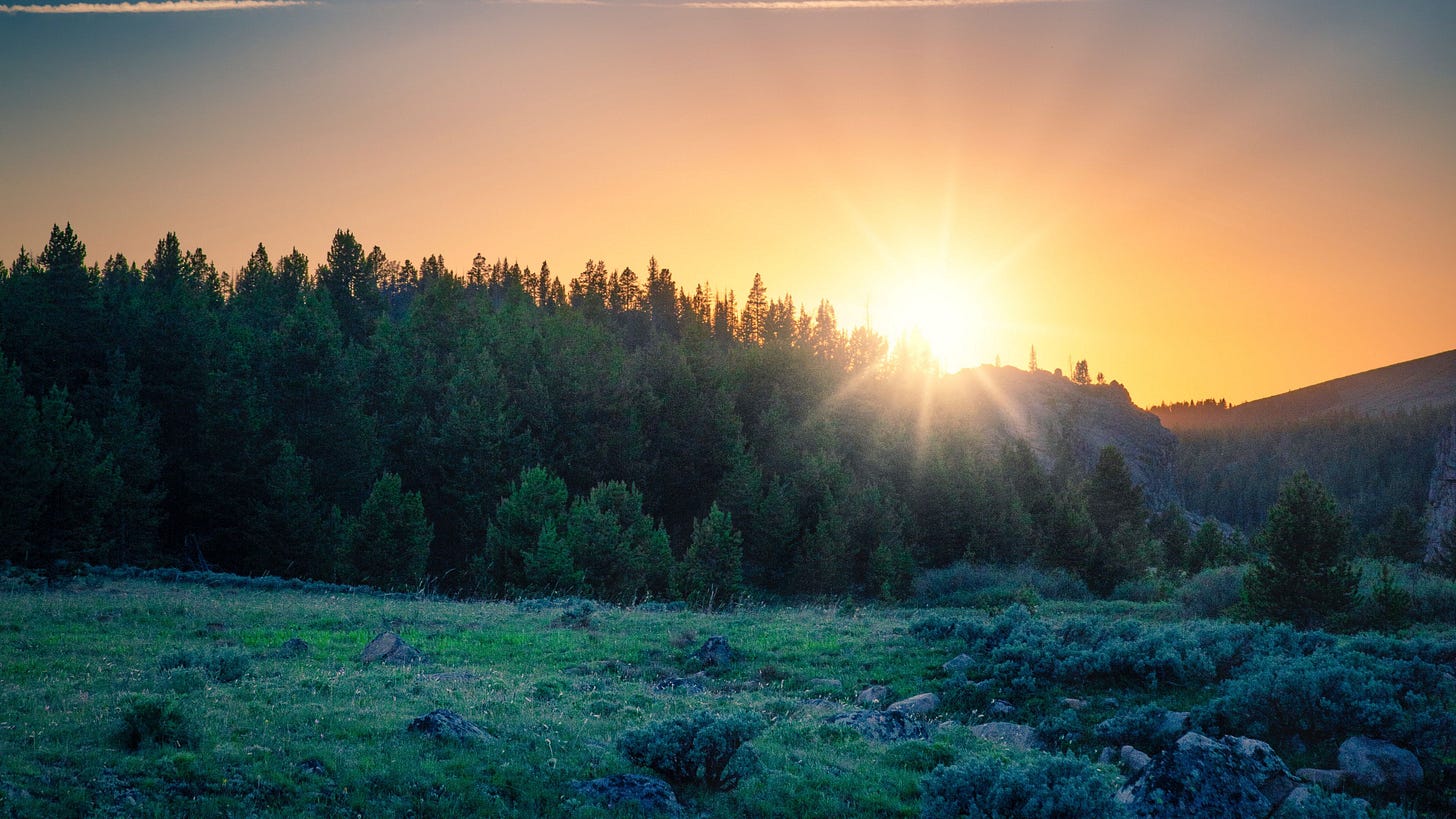 Download wallpaper 3840x2160 sunrise, forest, mountains, landscape,  sunlight 4k uhd 16:9 hd background