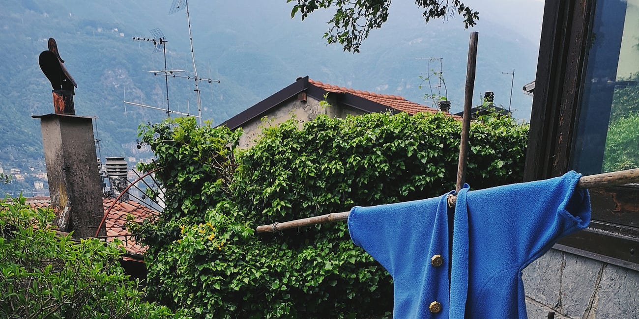 Cosa coltivare in inverno, idea orto di Peter Rabbit