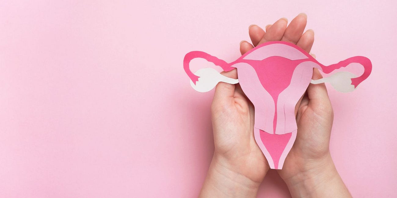 Trump Regime Appointees Indicate Efforts To Ban Abortion Nationwide