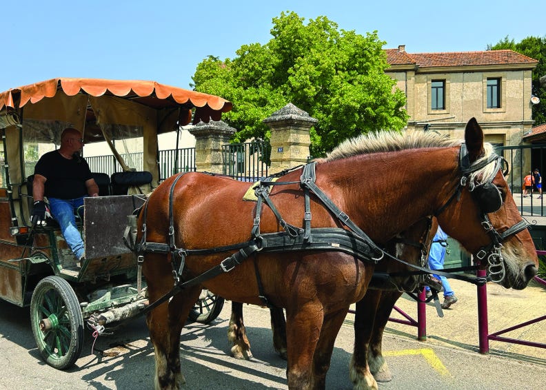 À l’école en calèche : Une aventure quotidienne dans le Gard