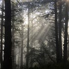 Hiking as a Strategic Initiative