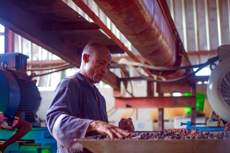 Releaf has developed technology to process oil palm nuts.