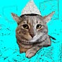 Allison M's avatar