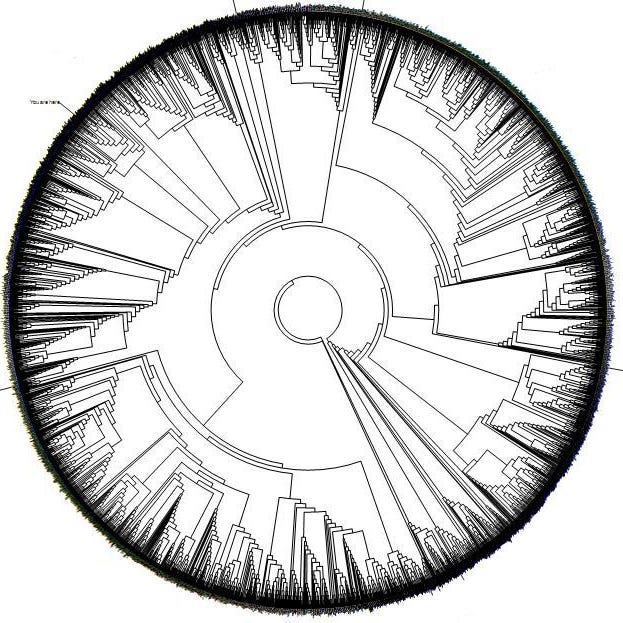 Remembrance Capital por Samuel Izquierdo