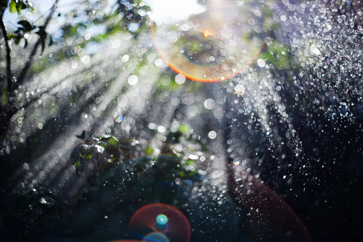 Freelensing for better perception (experimental photography).