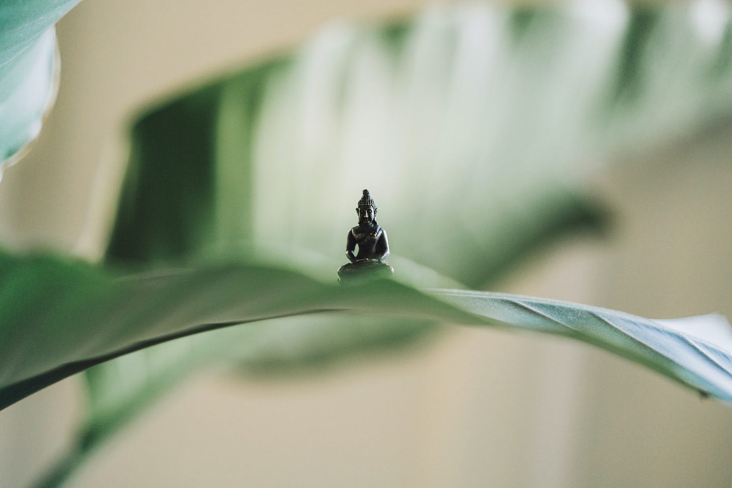 Letting The Gift of Presence Be Enough