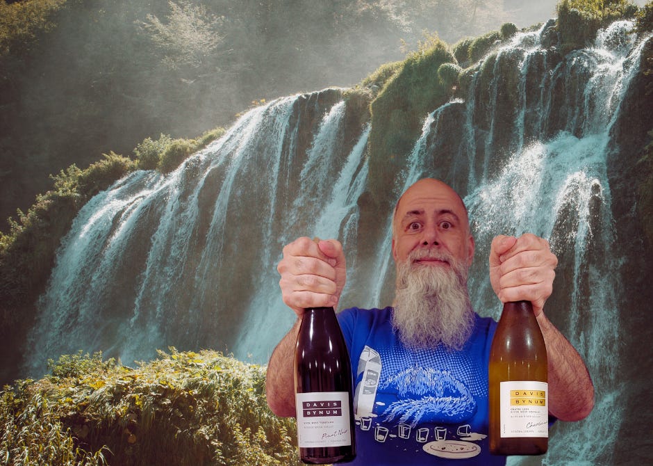 Gabe Sasso on Wine & Spirits | Substack