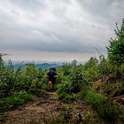 Woodlands and Water: Rapture in Storms