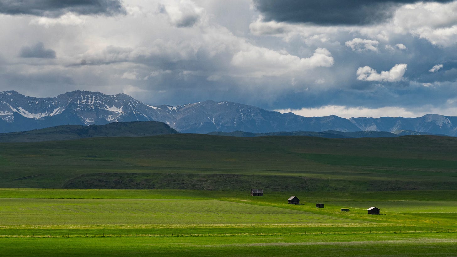 View of Rocky Mountains from the Foothills