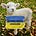 Winterish for Ukraine's avatar