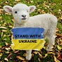 Winterish for Ukraine's avatar