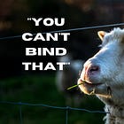 "You can't bind that"