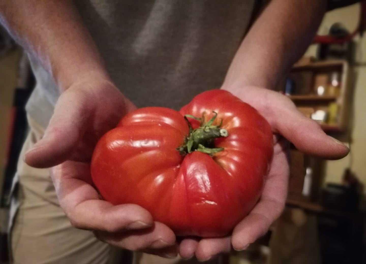 Celebrating the Garden: Tomatoes - by judy witts francini
