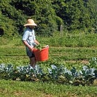 Farm to table (as in, your own)