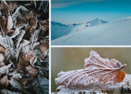 An image of a frozen leaf on a stump, a pile of frozen leaves and the top of snow covered mountains.