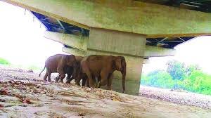 New highway between Delhi, Dehradun balances development with nature |  Daily Pioneer