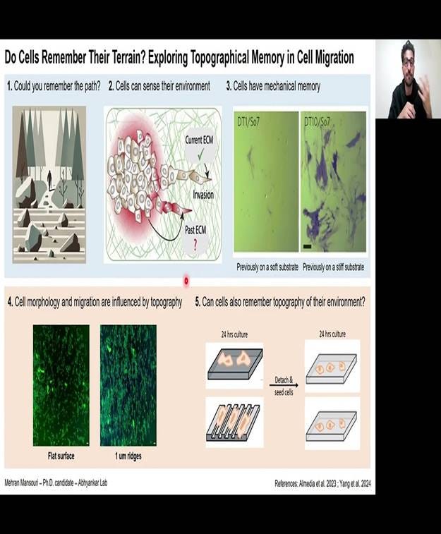 Do Cells Remember Their Terrain? Exploring Topographical Memory in Cell ... Do Cells Remember Their Terrain? Exploring Topographical Memory in Cell ...