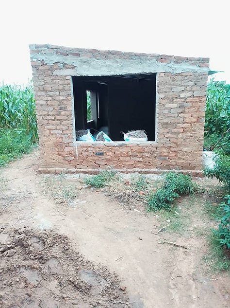 Some developments at the farm.