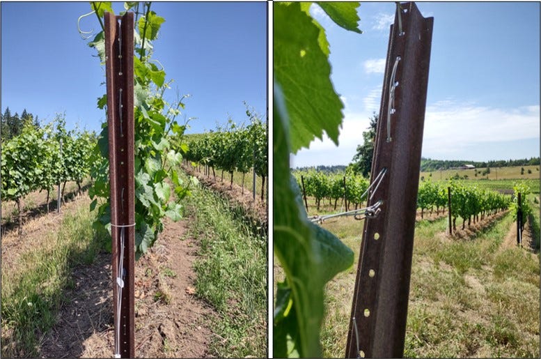 Catch wires permanently attached to an end post. Catch wires permanently attached to an end post.