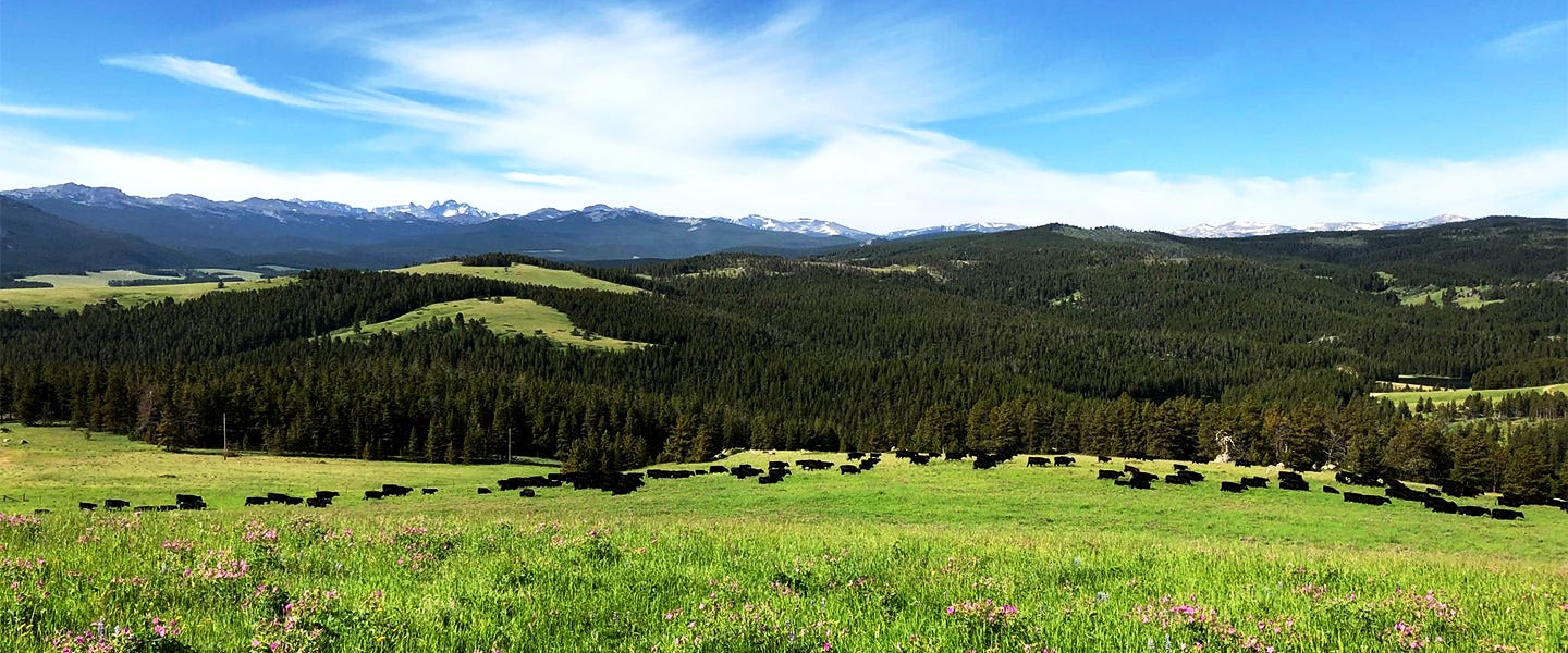 Big Horn County, Wyoming, Bighorn County, Wyoming's bighorn basin