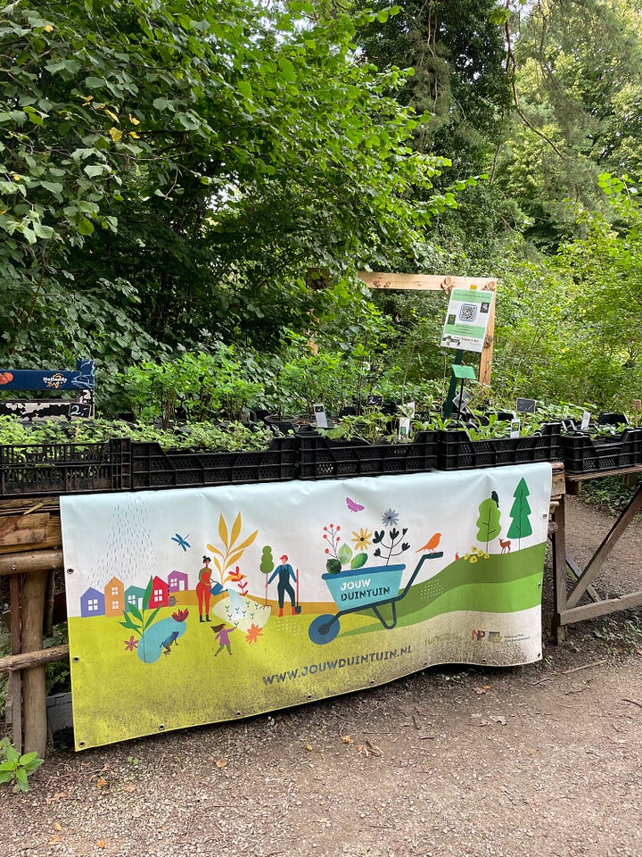 Native plants for sale and free seeds for sale at Thijsse’s Hof dunegarden in Bloemendaal