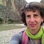 Martha Merson's avatar