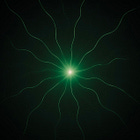 Beyond the False Choice