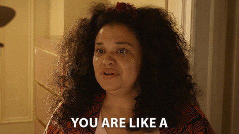 from Survival of the ThickestMichelle Buteau on Survival of the Thickest saying you're like a well made bra honey