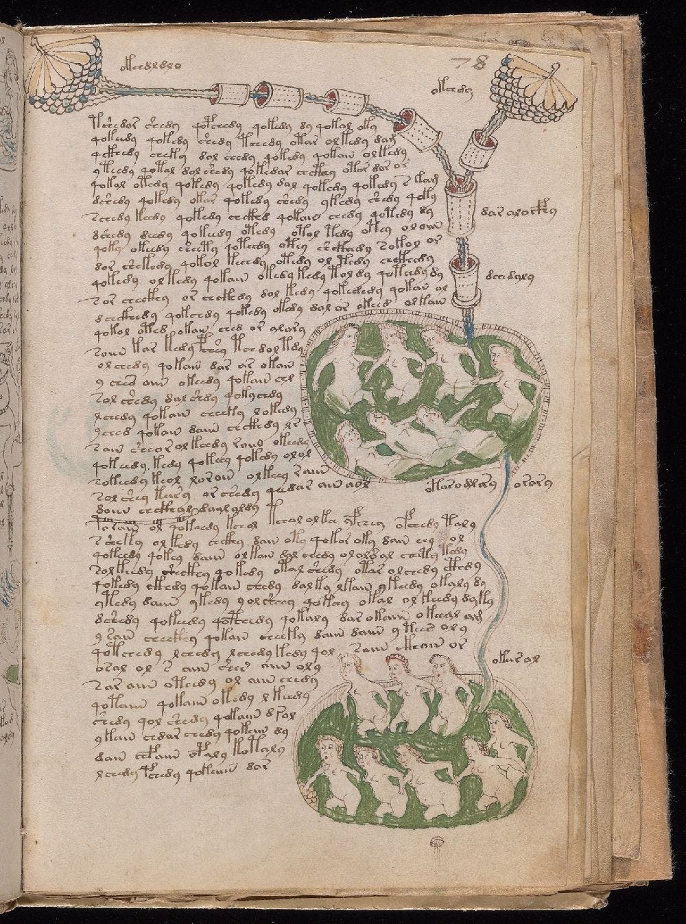 Manuscrito Voynich, f. 78r