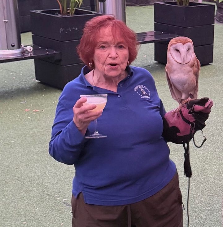 Saratoga Arts' Foundation Experience