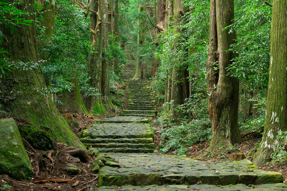 TTG - Features - Walking Japan's Kumano Kodo trail