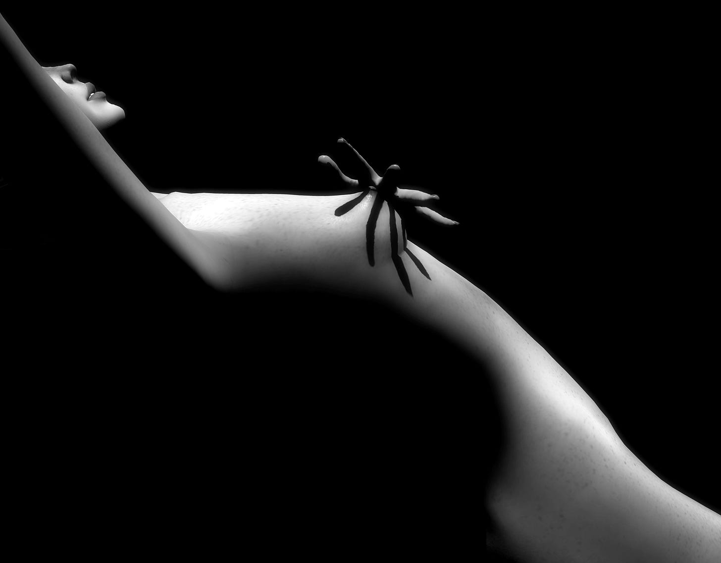 Image Copyright (c) 2022 If-What-If. All Rights Reserved. Photographer: Poko - Flickr