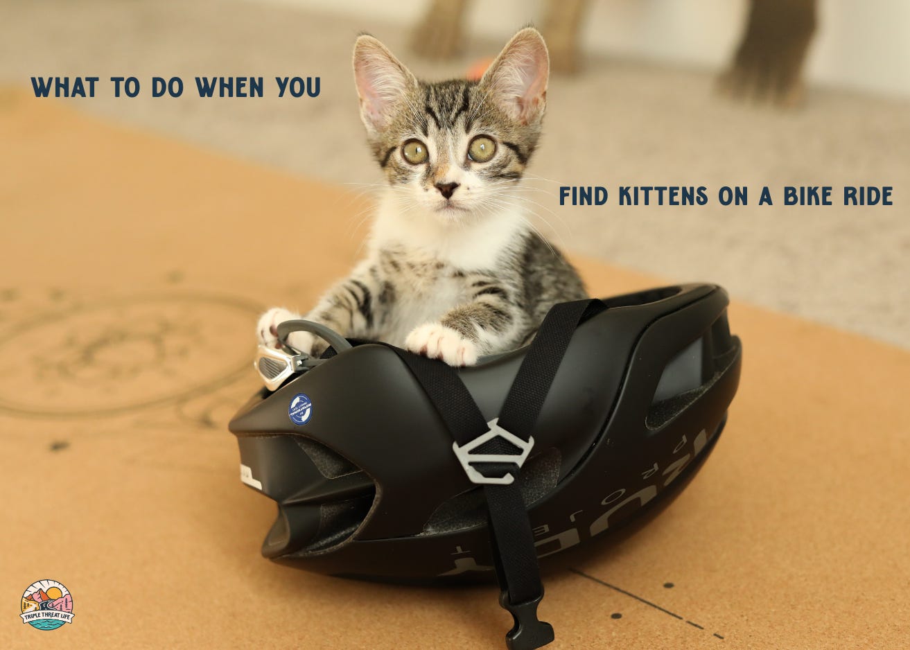 carbon fibre helmet motorcycle carbon fiber  ILM