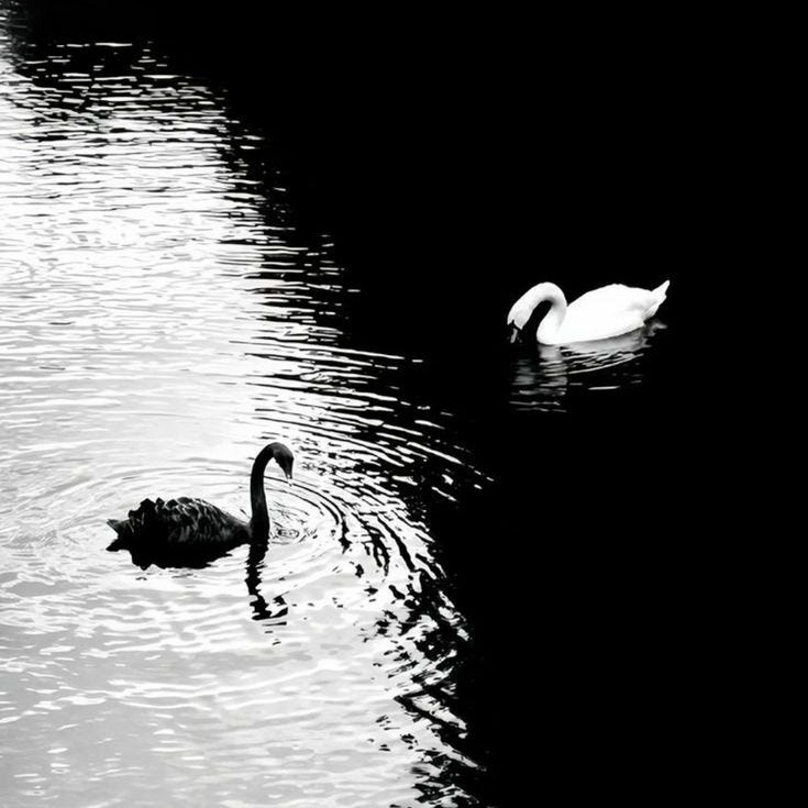 Artwork for TheHermitTrader’s Substack