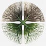 Generative Forms