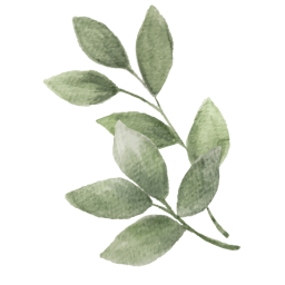 Catalysts & Curiosities