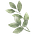 Catalysts & Curiosities
