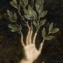 toni's curiosity cabinet