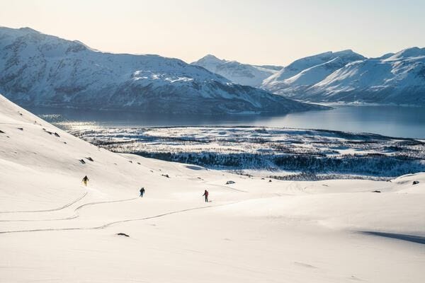 Skiers descending a snow-covered mountain above the Norwegian fjords. Skiers descending a snow-covered mountain above the Norwegian fjords.