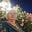Tasnády Mária's avatar