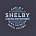 Shelby News Reporter