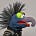Neil's avatar