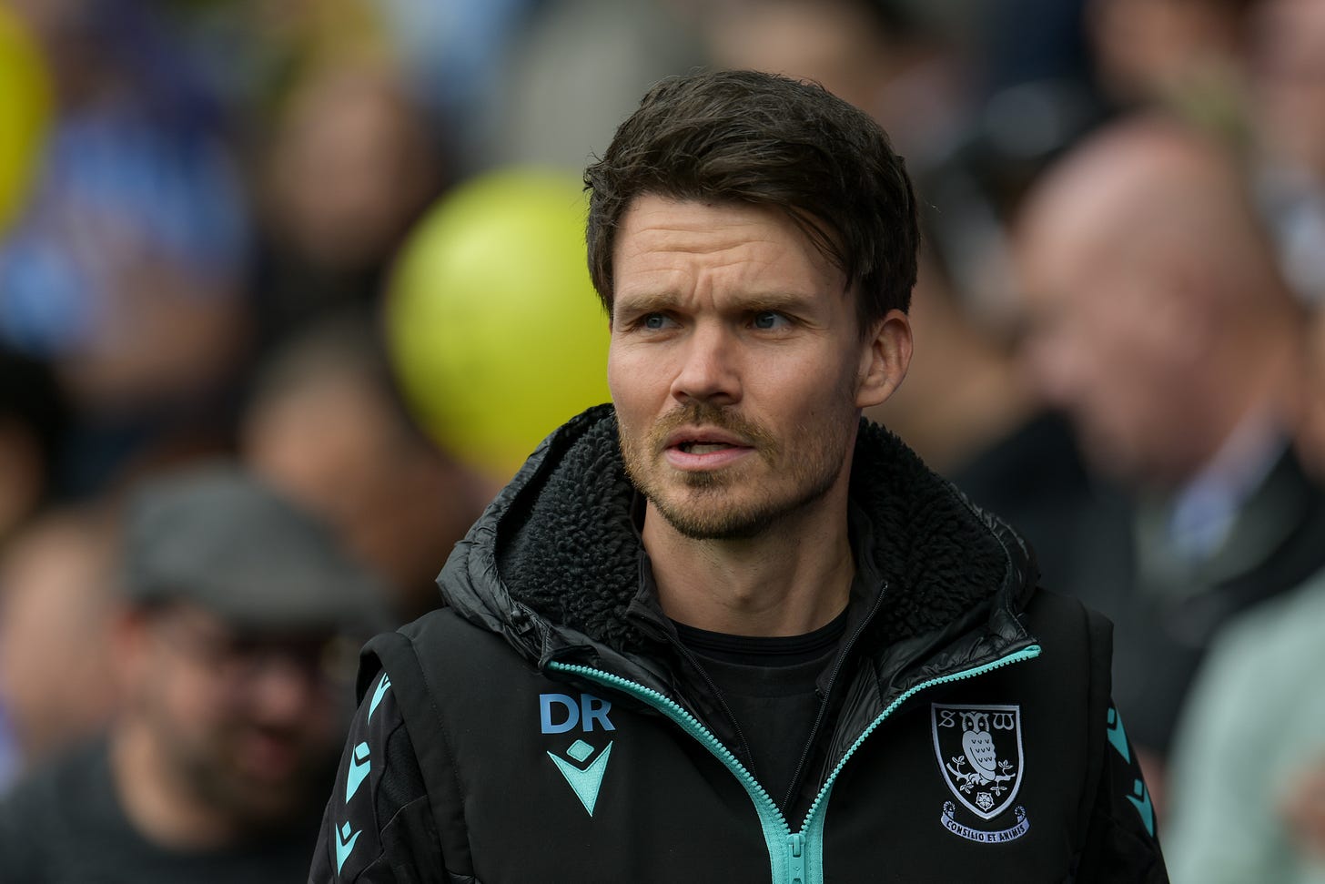 Sheffield Wednesday football manager Sheffield Wednesday football manager