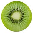 el diario de kiwi's avatar