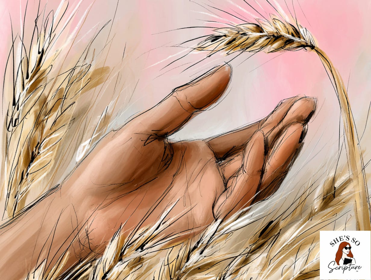 Illustrated hand examining a single grain of barley against a warm watercolor background in amber and cream tones