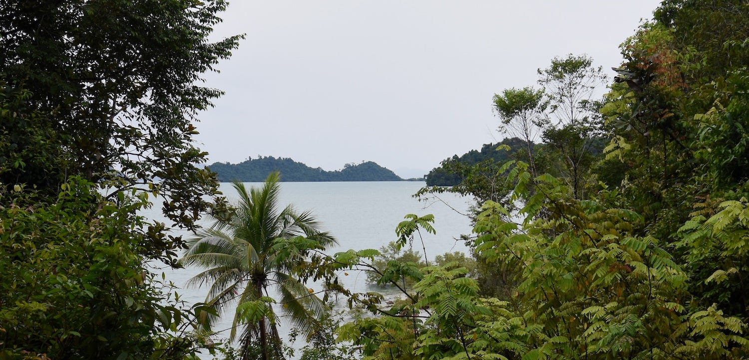 Katta sik bilan qora eshakni sikdi Viktoriya Sergeevna bilan jinsiy aloqa