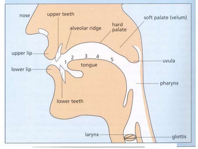 How to See, Hear, and Feel Sound in a Foreign Language How to See, Hear, and Feel Sound in a Foreign Language